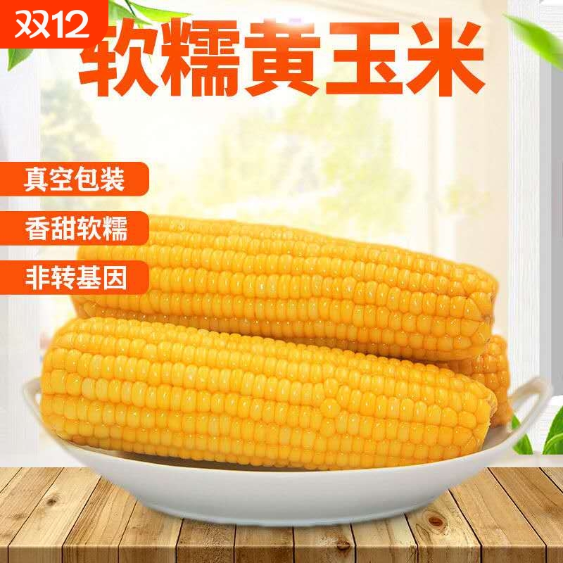 山西新鲜甜糯真空包装大玉米棒黄色速食早餐2025绿色认证8根大棒