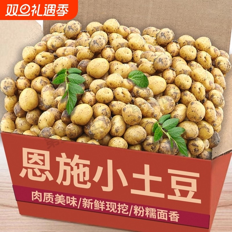 农家现挖恩施小土豆黄心土豆现挖新鲜当季蔬菜整箱迷你马铃薯洋芋