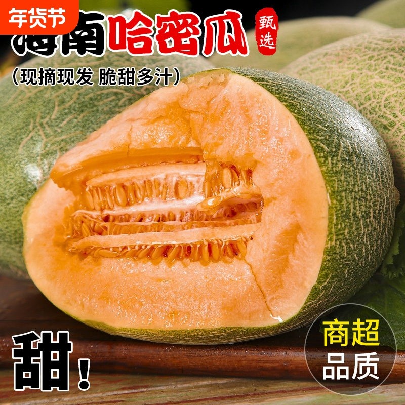 整箱批发正宗海南哈密瓜西州蜜冰淇淋甜瓜当季新鲜水果蜜瓜