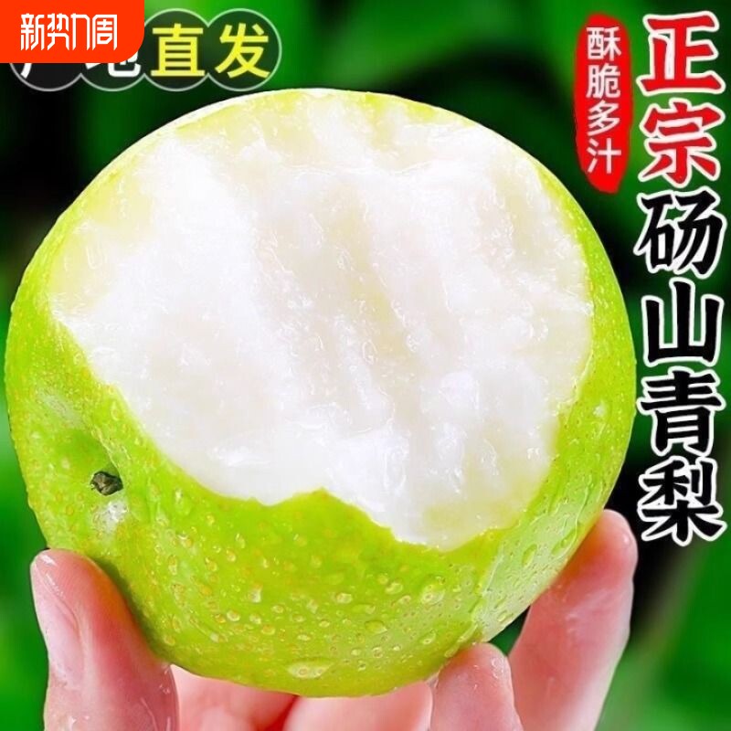 安徽绿色梨新鲜水果当季梨子香梨应季雪梨现季一级脆甜