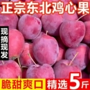 包邮 现摘东北鸡心果锦绣海棠沙果甜脆多汁小苹果新鲜应季 孕妇水果