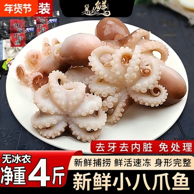 冀嘉鲜冷冻八爪鱼免处理精品袋装