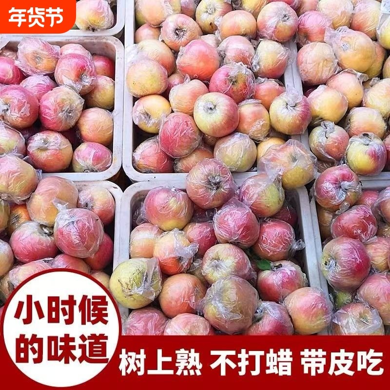 红富士苹果  丑苹果 新鲜水果当季应季儿童孕妇农产品