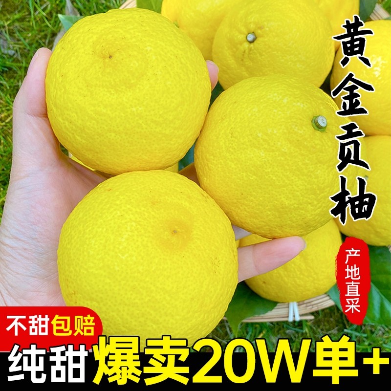 怀化黄金贡柚10斤包邮湖南新鲜春香柚水果纯甜小柚子阳光橘子果园,水产肉类/新鲜蔬果/熟食,柚子,淘宝优惠券,粉丝福利购,淘宝优惠卷