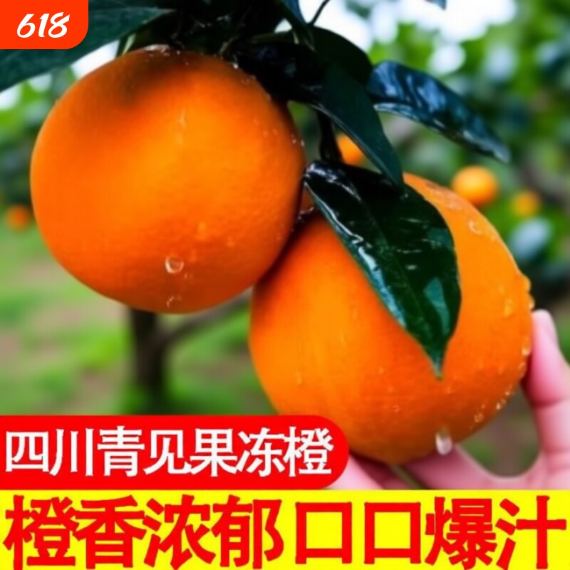 四川当季青见果冻橙柑橘水果新鲜整箱包邮大果橙子橙香现摘自提