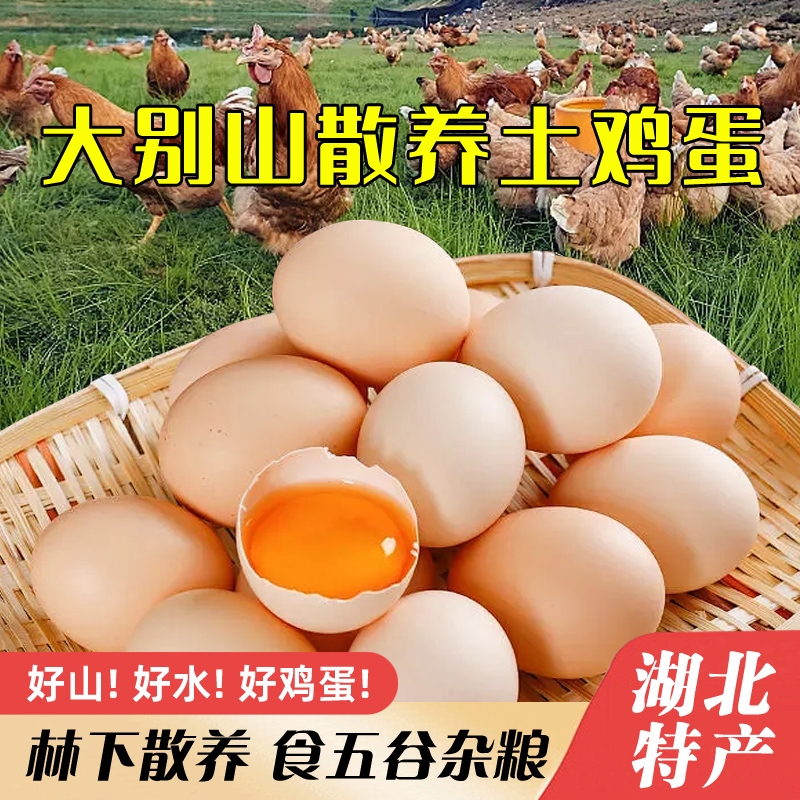 湖北正宗散养土鸡蛋林间散养新鲜柴笨鸡蛋土鸡乌鸡蛋50枚农场直发