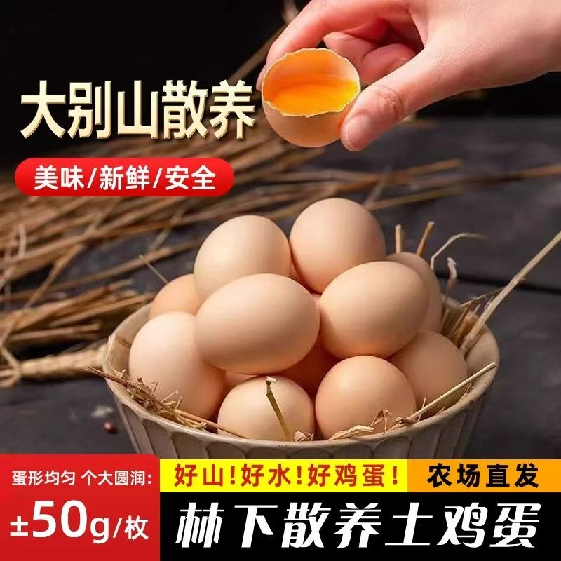 农家散养新鲜土鸡蛋40枚正宗大别山区鸡蛋农场直发喂养谷物林间