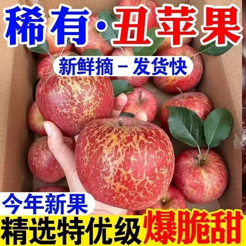 【包脆甜】冰糖心丑苹果山西运城正宗新鲜水果当季红富士脆甜批发