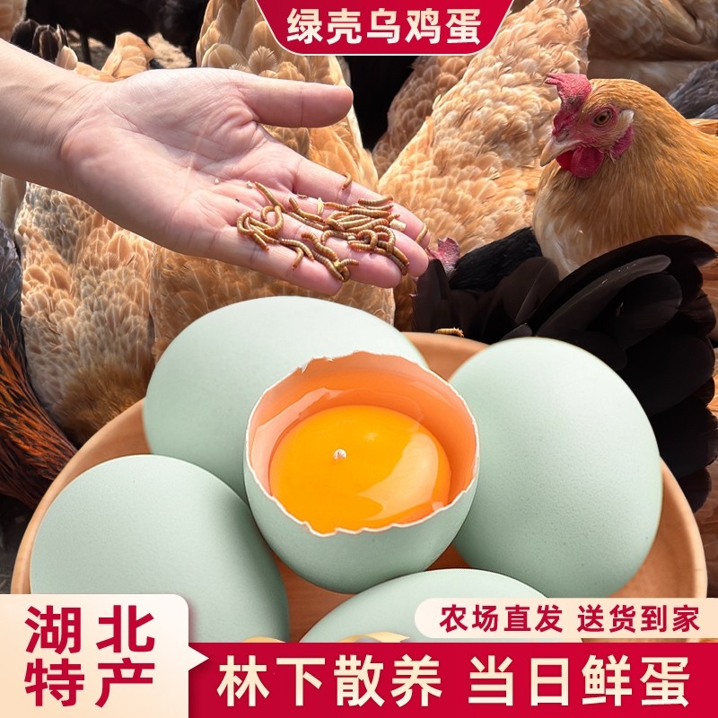 绿壳鸡蛋50枚湖北大别山散养土鸡蛋虫草谷物鲜蛋乌鸡蛋农场喂养