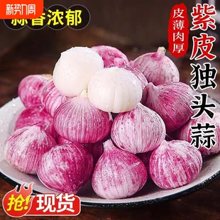 云南紫皮独蒜头现挖鲜蒜头大蒜农家紫皮红皮大蒜农家自种产地直发