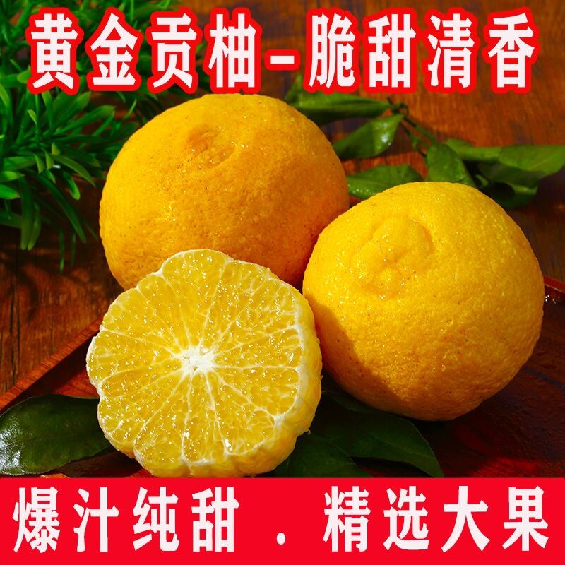 正宗象山青柑橘浙江宁波春香金柚黄金贡柚清甜当季红美人新鲜水果