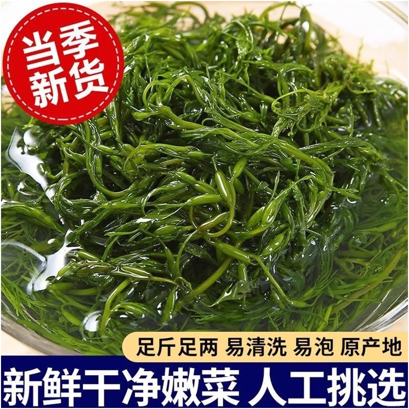 鞭炮笋长寿菜独立小包装精品盐渍马尾藻火锅用食材麻辣烫海草海藻