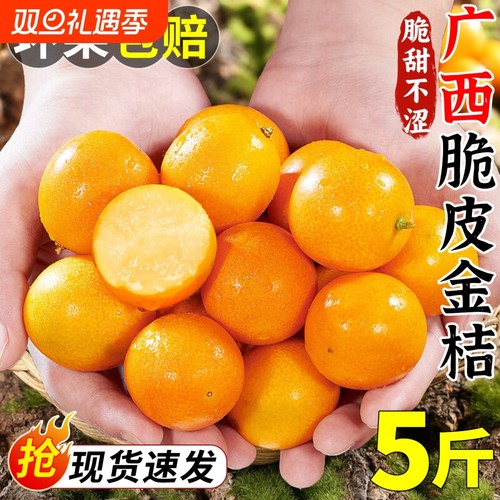 广西脆皮金桔5斤新鲜橘子水果当季纯甜蜜小金柑孕妇融安包邮整箱