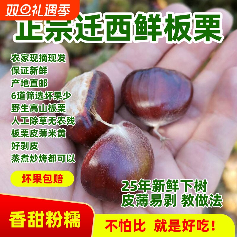 25年新货迁西板栗3113炒货100斤批发糖炒商用油栗生板栗子新