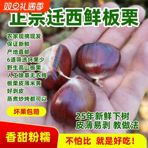 25年新货迁西板栗3113炒货100斤批发糖炒商用油栗生板栗子新鲜313