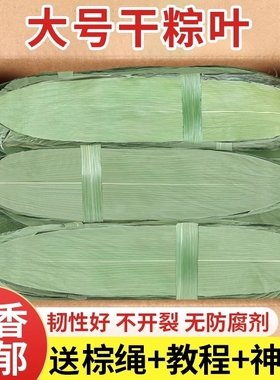 粽子叶干新鲜包粽子专用的大号野生竹端午老式材料质量保证鲜粽叶
