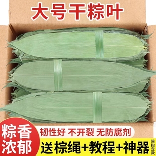 粽子叶干新鲜包粽子专用的大号野生竹端午老式材料质量保证鲜粽叶