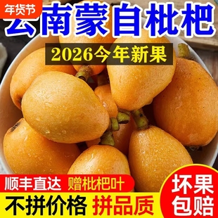顺丰包邮新鲜枇杷云南蒙自枇杷鲜甜多汁孕妇可吃琵琶