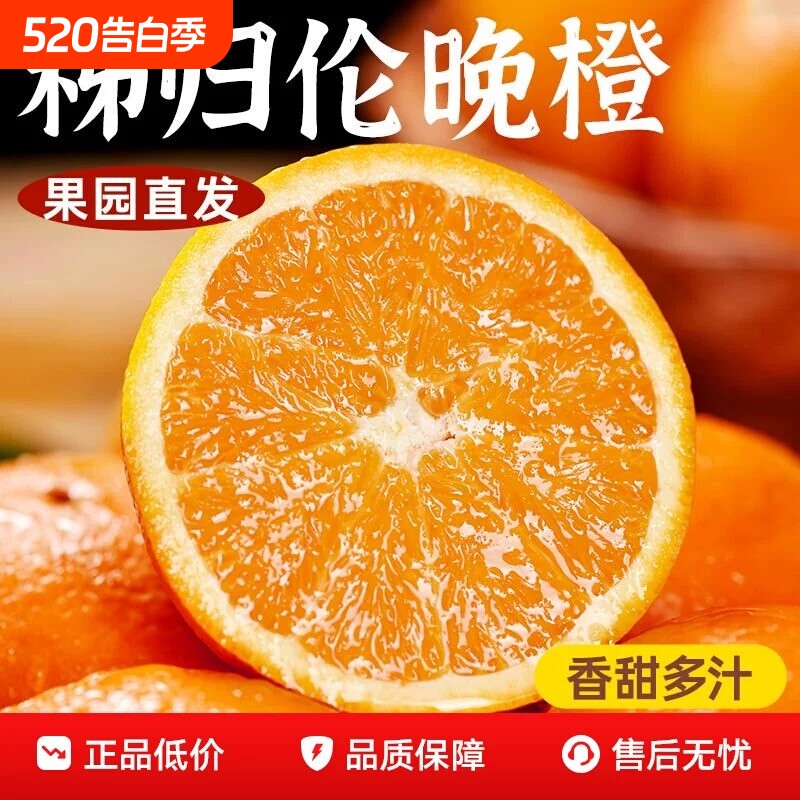 橙子伦晚脐橙湖北秭归新鲜10斤大果甜春橙手剥橙整箱当季水果现摘