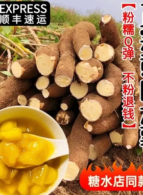 广西正宗黄心面包木薯新鲜现挖甜品黄肉食用甜品粉糯香甜自家种植