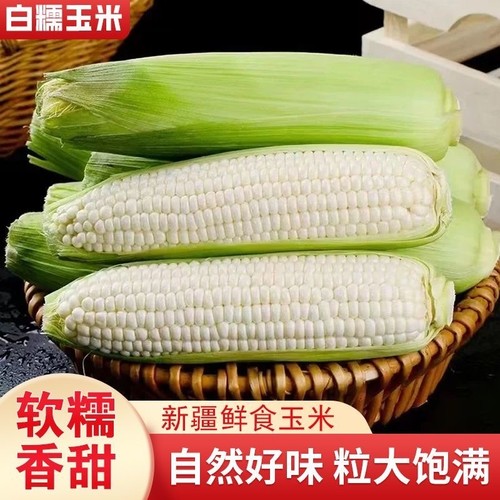 白糯牛奶玉米新鲜现摘现发