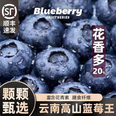 云南花香蓝莓新鲜果高山当季水果l25整箱产地直发顺丰包邮大果