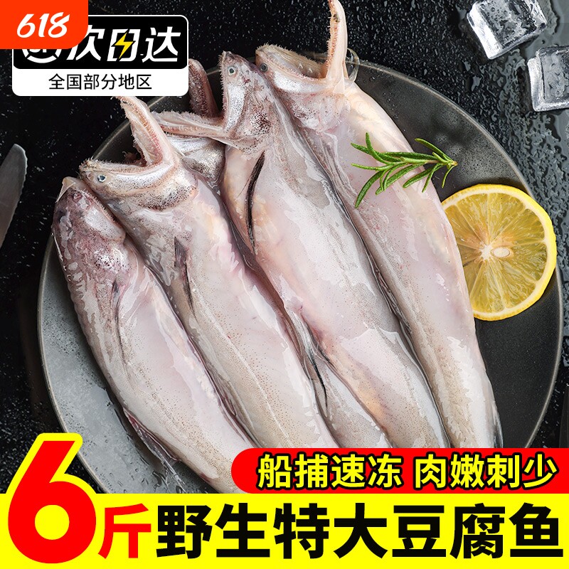 冰鲜东海龙头鱼豆腐鱼舟山特产新鲜海鲜九肚鱼生鲜水潺海鲜活冷冻