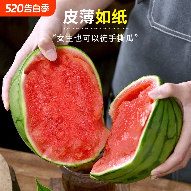 精品现摘新鲜小糖丸小西瓜手剥薄皮西瓜当季新鲜多汁脆甜小吊瓜