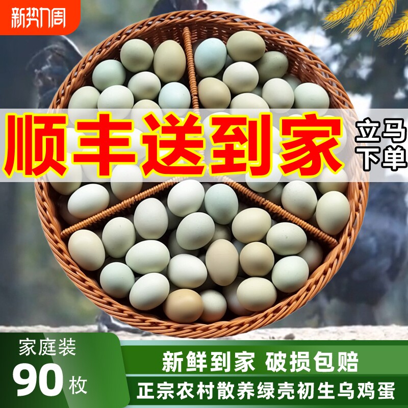 顺丰送到家丨绿壳山鸡蛋90枚新鲜乌鸡蛋整箱正宗农村散养土鸡蛋