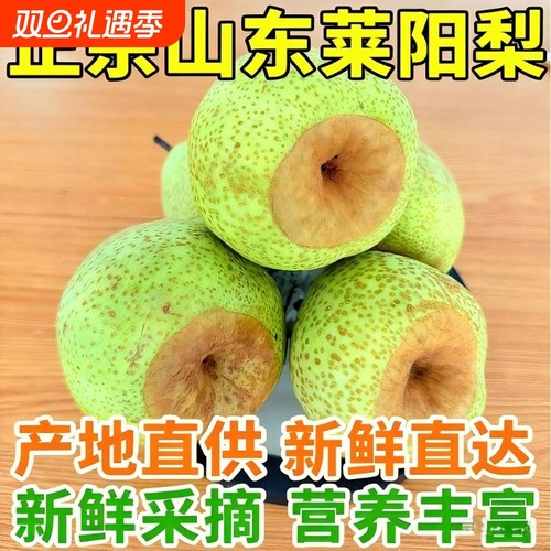 正宗山东莱阳当季新鲜慈梨芦儿产地直发贡梨脆礼盒包邮整箱水果