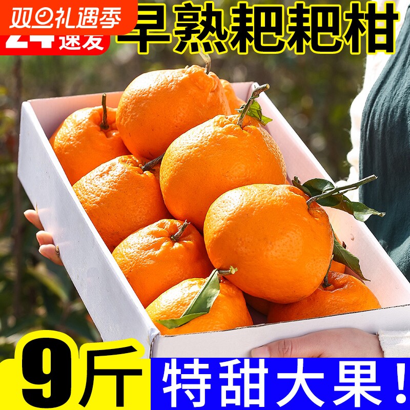 早熟春见耙耙柑橘子9斤新鲜桔子当季时令水果蜜橘应季蜜桔柑橘