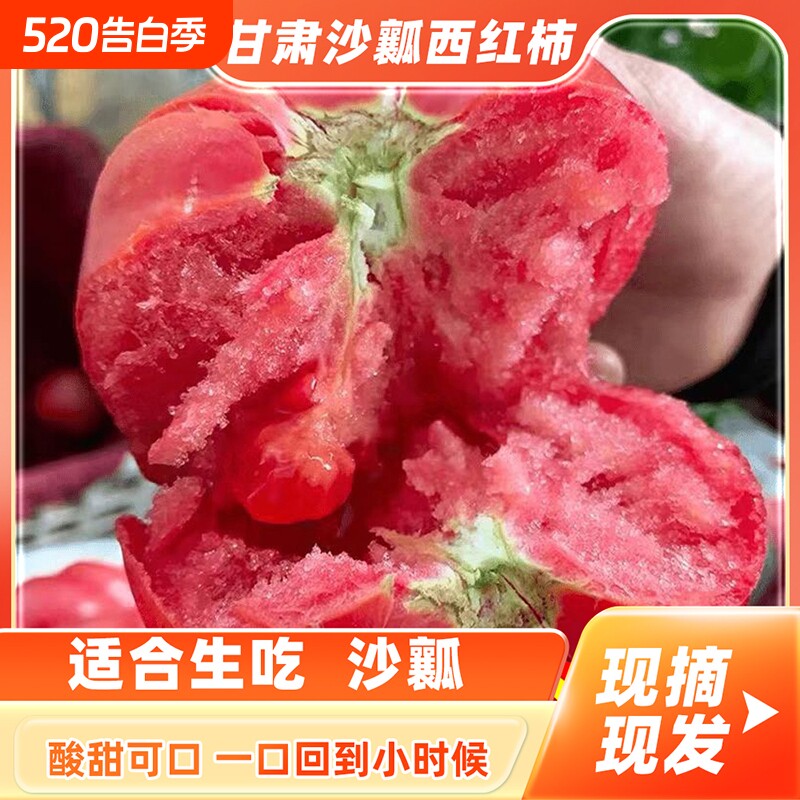 甘肃沙漠当季新鲜沙瓤西红柿现摘农家自种自然熟柿子蔬菜爆汁果蔬
