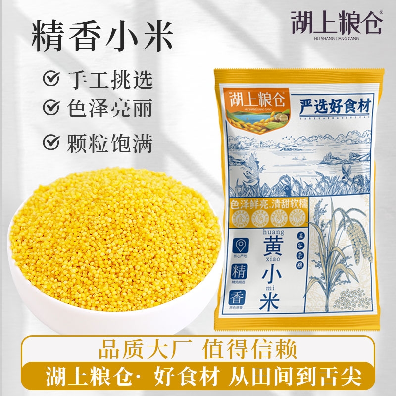 当季新货东北黄小米米油丰厚一斤