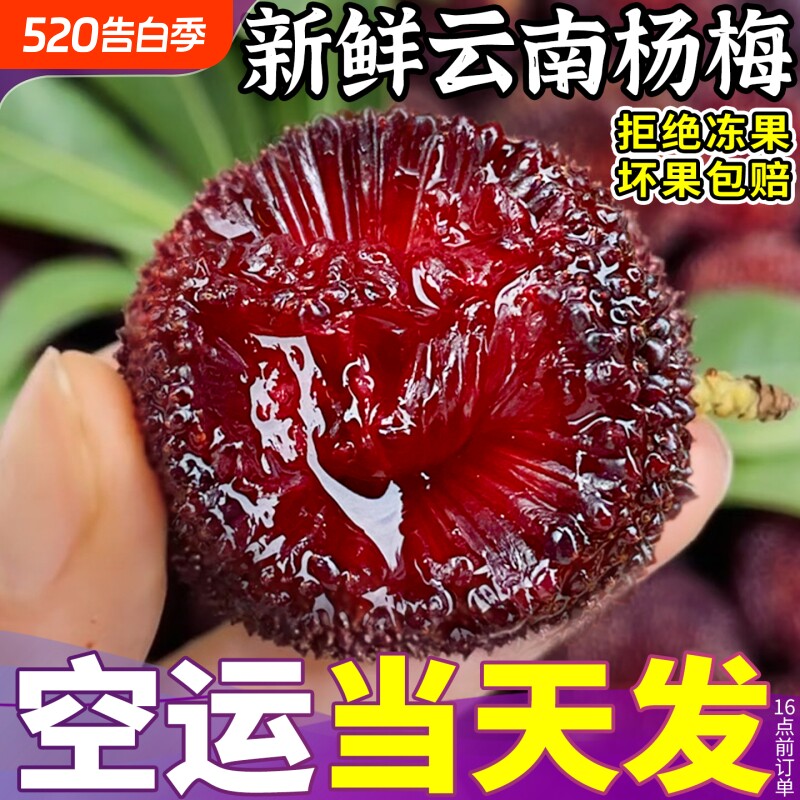 空运云南杨梅鲜果26年头茬现摘应季东魁荸荠泡酒孕妇水果新鲜