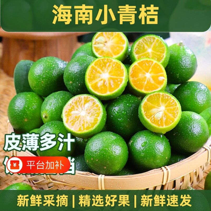 海南小金桔新鲜青柠当季水果奶茶青橘包邮青桔柠檬鲜果小青皮薄