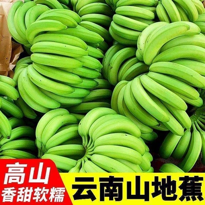 云南高山现摘香甜软糯小米蕉