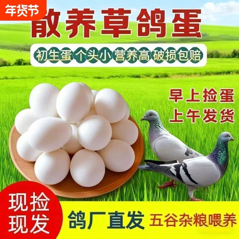 精选鸽子蛋新鲜30枚孕妇宝宝辅食白鸽蛋30个装五谷杂粮土鸽蛋散养,水产肉类/新鲜蔬果/熟食,鸽蛋,淘宝优惠券,粉丝福利购,淘宝优惠卷