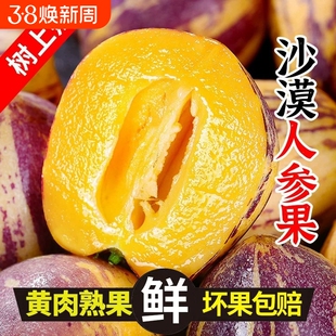 甘肃民勤新鲜人参果树上熟沙漠人生大果应季水果新鲜采摘低糖