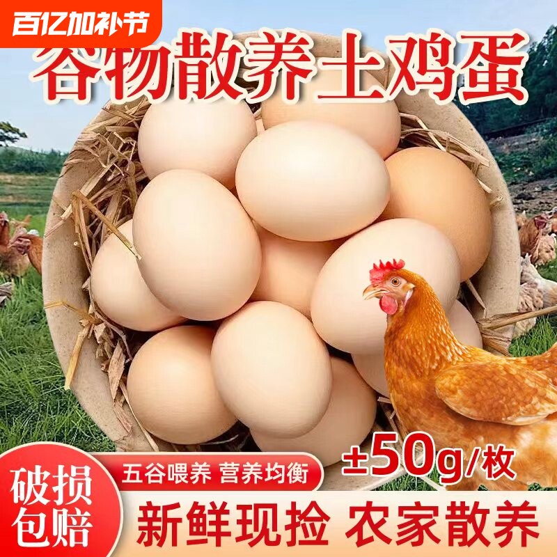 农村散养土鸡蛋30枚湖北大别山虫草谷物蛋不腥现捡现发当日鲜鸡蛋