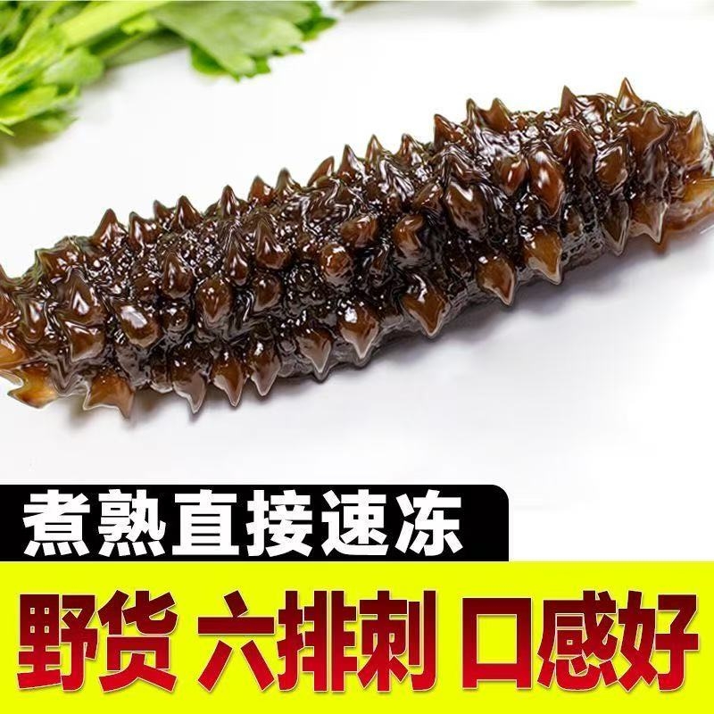 高弹性即食海参野货六排刺口感好不挂冰即食用海参非干海参