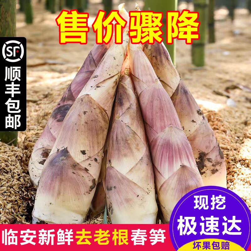 顺丰冷链杭州雷竹笋浙江春雷笋新鲜蔬菜现挖现发野生当季笋天目