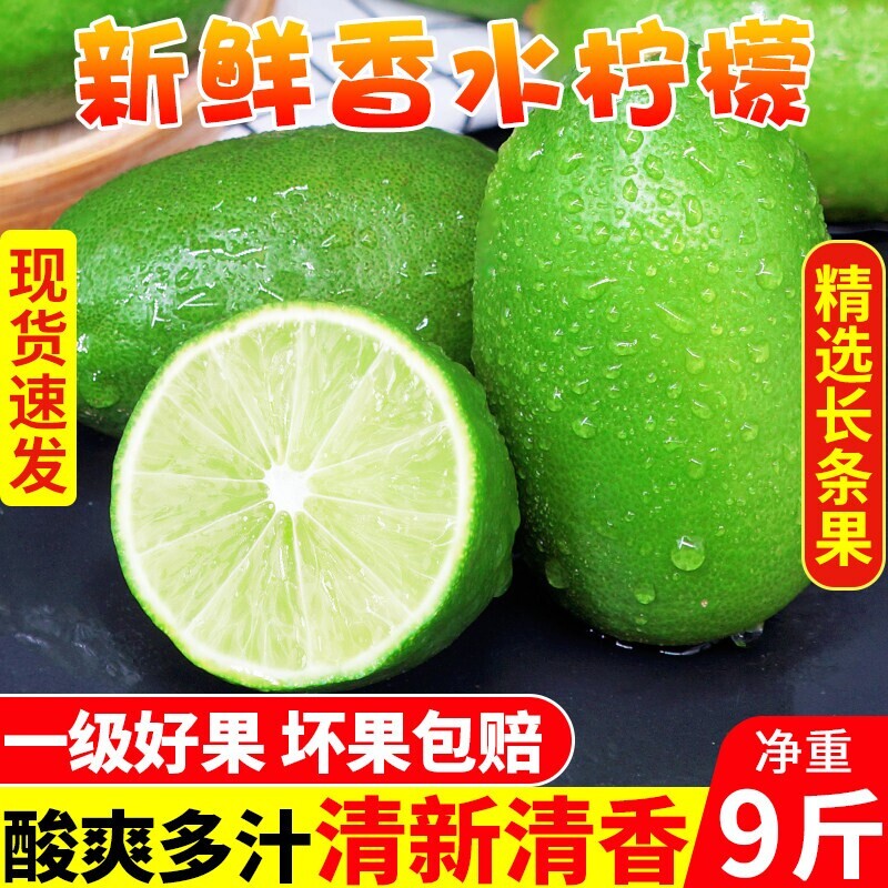 香水柠檬新鲜大果正宗青柠檬无籽一级果水果奶茶店专用香柠檬现摘