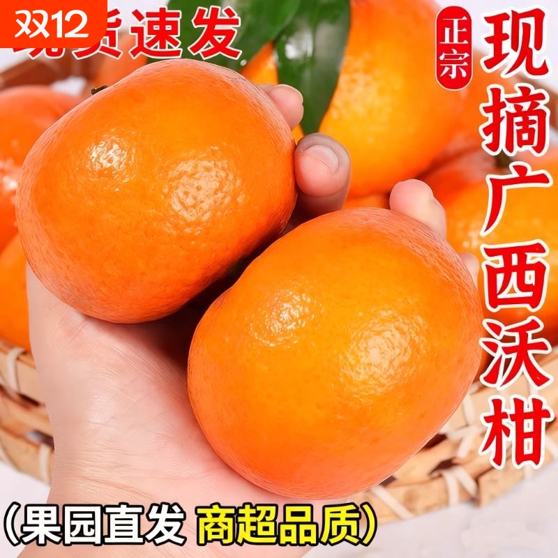 正宗广西沃柑新鲜水果包邮橘子当季沙糖蜜橘桔子现摘现发果园甜蜜