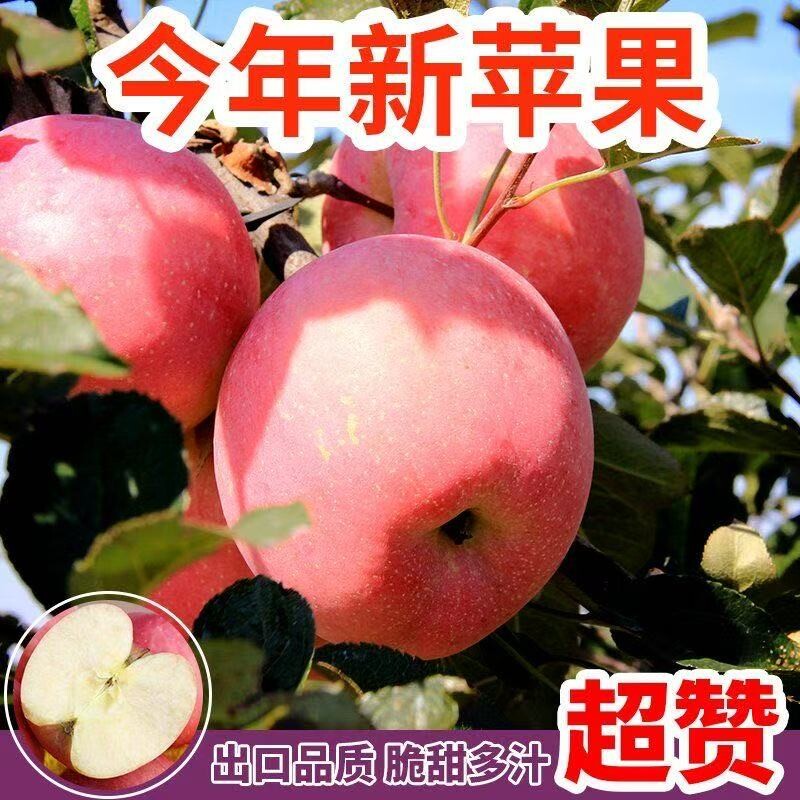 正宗红富士苹果水果孕妇新鲜当季脆甜苹果整箱现季冰糖心批发多汁