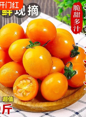 阳光黄色金圣女果樱桃小番茄新鲜水果小西红柿当季黄金健康生鲜