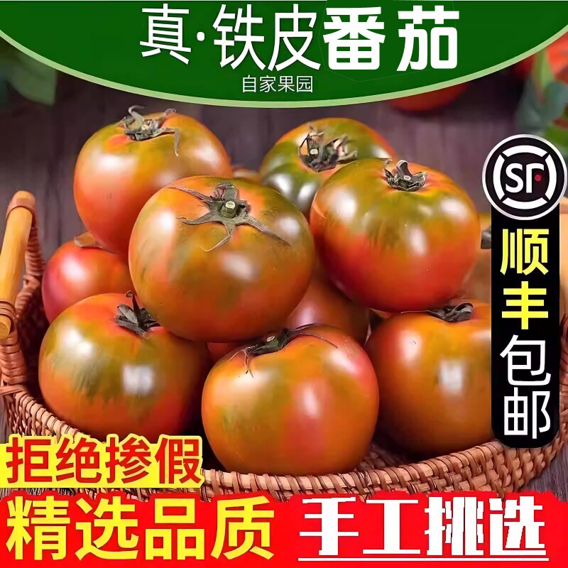 铁皮柿子丹东自然成熟草莓西红柿水果酸甜自家种生吃现摘番茄