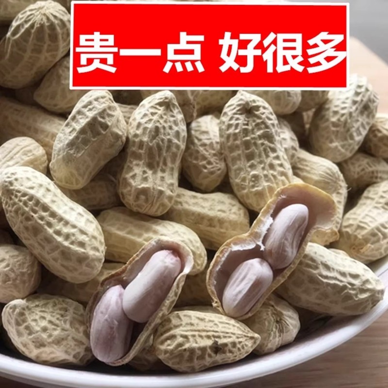 新龙岩水煮花生白晒干盐水煮咸干湿烤500gx2袋装散带壳熟零食特