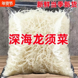 太便宜】龙须菜海石花新鲜即食批发鹿角菜凉拌菜素食过年必备凉菜
