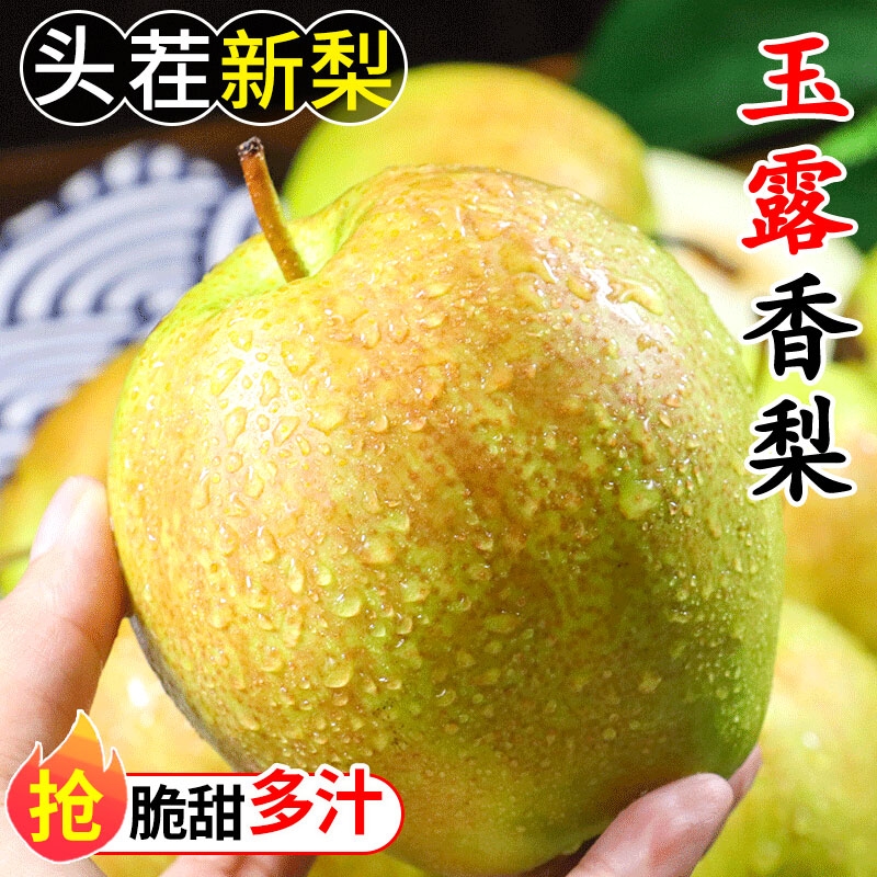 山西玉露香梨,酥脆多汁,细腻化渣