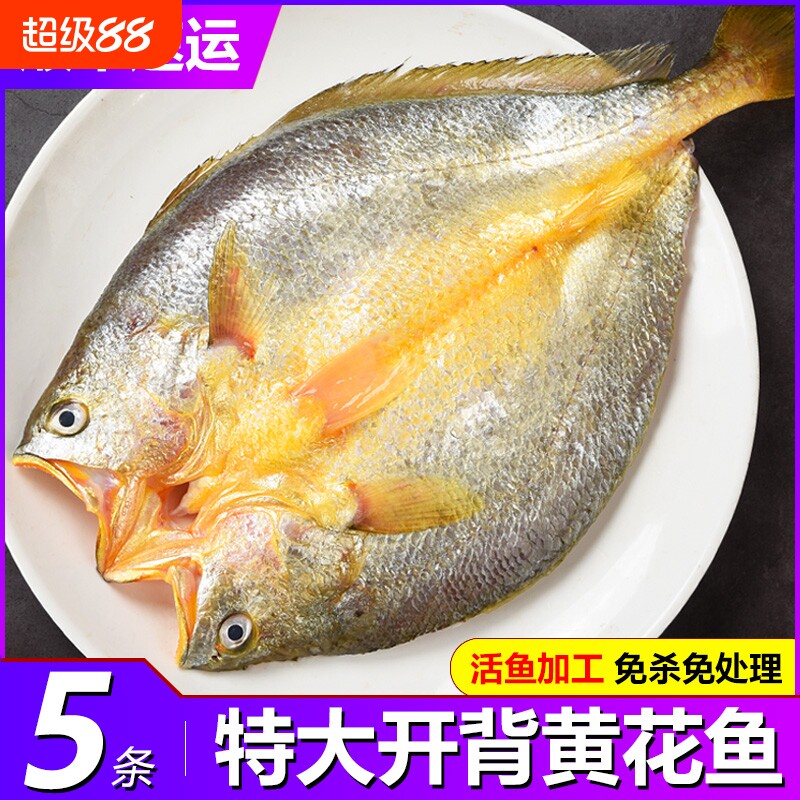 福建宁德霞浦黄鱼鲞新鲜黄花鱼大黄鱼三去小黄鱼海鲜海鱼冷冻水产图片
